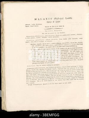 Eine französische botanische Beschreibung von Malaxis (Ophrys) Loeselii aus dem Jahr 1822, die heute als Liparis loeselii klassifiziert ist und als Platte 0245 in der Flora Batava von Jan Kops dargestellt ist. Stockfoto