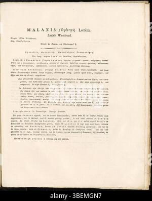 Eine niederländische botanische Beschreibung von Malaxis (Ophrys) Loeselii aus dem Jahr 1822, heute bekannt als Liparis loeselii, dargestellt als Platte 0245 in der Flora Batava von Jan Kops. Stockfoto