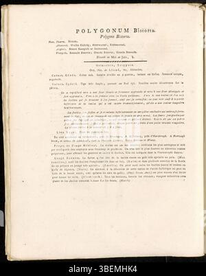 *Polygonum bistorta*, heute bekannt als *Persicaria bistorta*, ist auf der Platte 0277 von *Flora Batava* von Jan Kops aus dem Jahr 1822 zu sehen. Diese Illustration zeigt die besondere Morphologie der Pflanze und betont ihre wichtigsten botanischen Eigenschaften. In der begleitenden französischen Beschreibung werden die historische Relevanz und die Nutzung der Anlage erläutert. Stockfoto