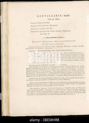 Convallaria majalis, oder Lilie des Tals, ist auf der Platte 0006 von Jan Kops' Flora Batava aus dem Jahr 1800 zu sehen. Die Illustration zeigt die zarten Blüten der Pflanze und ihren Lebensraum und bietet wertvolle Einblicke in die Art für botanische Studien in den Niederlanden. Stockfoto
