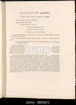Epilobium angustifolium oder Chamaenerion angustifolium ist auf der Platte 0007 von Jan Kops' Flora Batava aus dem Jahr 1800 zu sehen. Diese französische Beschreibung hebt die violetten Blüten der Pflanze und ihr Wachstum in der Wildnis hervor und trägt zu europäischen botanischen Studien bei. Stockfoto
