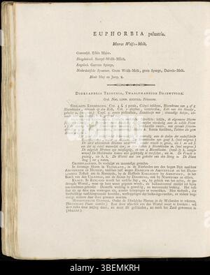 Die Platte 0044 der Flora Batava von Jan Kops (1765–1849) enthält eine detaillierte Beschreibung der Euphorbia palustris, oder Sumpfschwamm. Diese Pflanze, die in Feuchtgebieten in Europa beheimatet ist, ist bekannt für ihre toxischen Eigenschaften und ihre einzigartige Blütenstruktur, wie sie in Kops’ botanischen Arbeiten von 1800 dargestellt wurde. Stockfoto