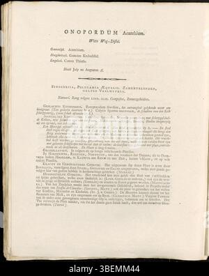 Die niederländische Beschreibung und Illustration von Onopordum acanthium aus der Flora Batava-Serie von Jan Kops aus dem Jahr 1807 hebt die großen, dornigen Blätter und das markante distelartige Aussehen hervor, ein häufiges Merkmal von Wilddisteln. Stockfoto