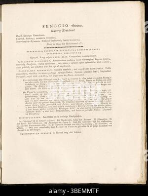 Eine niederländische botanische Beschreibung von Senecio viscosus aus dem Jahr 1822, dargestellt als Platte 0270 in der Flora Batava von Jan Kops. Stockfoto
