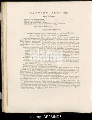 Diese botanische Platte aus der Flora Batava von Jan Kops (1807) zeigt Scrophularia nodosa, ein ausdauerndes Kraut aus Europa. Diese Art ist bekannt für ihre geknoteten Stiele und findet sich oft in feuchten Umgebungen. Die Abbildung zeigt die detaillierten Merkmale als Teil der umfassenden Flora Batava-Serie. Stockfoto