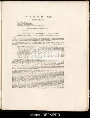 Diese Illustration aus der Serie Flora Batava von Jan Kops aus dem Jahr 1822 zeigt Carum carvi, eine Pflanze, die für ihre aromatischen Samen geschätzt wird und in der Küche und Medizin verwendet wird. Die Platte enthält Details zu ihrer botanischen Struktur. Stockfoto
