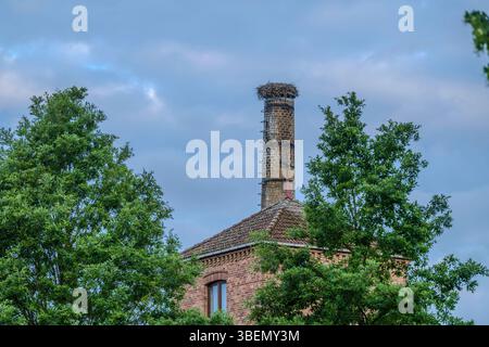 Ein Storchennest auf einem alten Schornstein Stockfoto