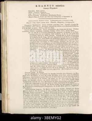 Diese botanische Platte, Platte 0163 aus „Flora Batava“, zeigt Rhamnus catharticus, heute bekannt als Rhamnus cathartica. 1814 von Jan Kops illustriert, gibt es detaillierte Einblicke in die Eigenschaften dieser Pflanzenart, die allgemein als Sanddorn bekannt ist. Stockfoto