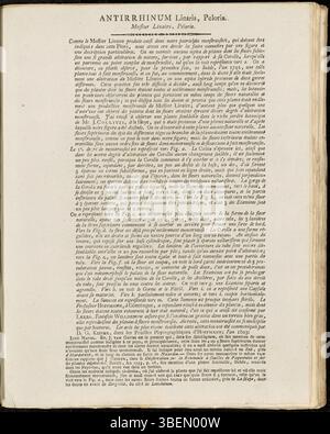 *Antirrhinum Linaria 'Peloria'* (moderne Linaria vulgaris 'Peloria'), illustriert in *Flora Batava* (Platte 0177) von Jan Kops (1814), ist bekannt für seine ungewöhnliche Blütenmutation, die im Gegensatz zur typischen snapdragon-Form einheitliche Blüten aufweist. Stockfoto