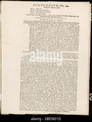 Platte 0120 von Jan Kops' Flora Batava zeigt *Polypodium filix-MAS*, heute als *Dryopteris filix-MAS* bekannt, einen gewöhnlichen Farn. Die Abbildung aus dem Jahr 1807 zeigt die charakteristischen Stirnbänder der Pflanze. Stockfoto