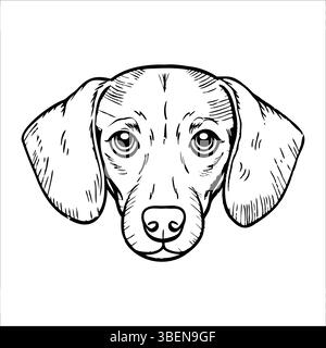 Eine detaillierte Linienzeichnung eines Beagle-Hundes. Die Abbildung zeigt ausdrucksstarke Augen, lange Ohren und charakteristische Gesichtszüge des Hundes. Ideal für Haustiere Stock Vektor