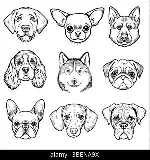 Eine Sammlung von Gesichtern des Hundes, dargestellt in einem Raster. Zu den Rassen gehören Labrador, Chihuahua, Deutscher Schäferhund, Cocker Spaniel, Sibirischer Husky, Mops, Französisch Stock Vektor