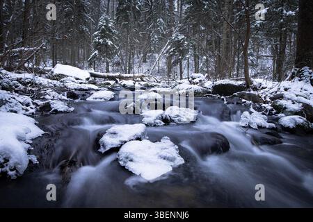 Ein ruhiger Waldfluss fließt durch eine schneebedeckte Landschaft mit eisigem Wasser, das über dunkle Felsen mit glitzerndem Schnee kaskadiert. Stockfoto