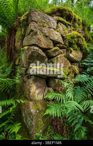 Trockenbauwand einer Ladeplattform auf den alten Gleisanlagen im Bole Hill Quarry oberhalb von Grindleford im Peak District. Stockfoto