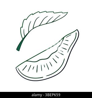 Niedliche Beeren-Illustration in Handzeichnung. Pflaumensymbol auf weißem Hintergrund. Farbkontur. Design für Postkarten, Flyer, Banner. Symbol, Schild, Aufkleber Stock Vektor