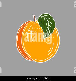 Niedliche Frucht-Illustration in Handzeichnung Stil. Aprikosensymbol auf grauem Hintergrund. Weiße Umrandung. Design für Postkarten, Flyer Stock Vektor
