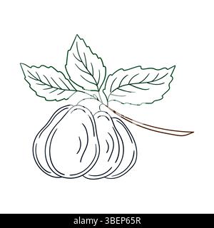 Niedliche Beeren-Illustration in Handzeichnung. Pflaumensymbol auf weißem Hintergrund. Farbkontur. Design für Postkarten, Flyer, Banner. Symbol, Schild, Aufkleber, Stock Vektor