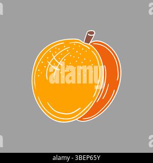 Niedliche Frucht-Illustration in Handzeichnung Stil. Aprikosensymbol auf grauem Hintergrund. Weiße Umrandung. Design für Postkarten, Flyer, Banner. Symbol, Zeichen Stock Vektor