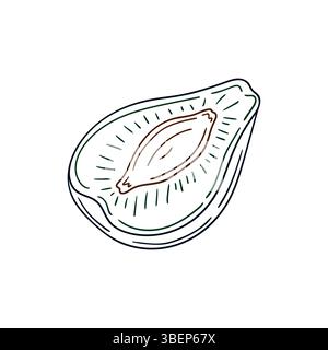 Niedliche Beeren-Illustration in Handzeichnung. Pflaumensymbol auf weißem Hintergrund. Farbkontur. Design für Postkarten Stock Vektor