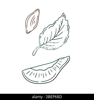 Niedliche Beeren-Illustration in Handzeichnung. Pflaumensymbol auf weißem Hintergrund. Farbkontur. Design Stock Vektor