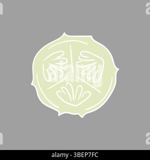 Niedliche Gemüseillustration in Handzeichnung. Gurke auf grauem Hintergrund. Weiße Umrandung. Design Stock Vektor