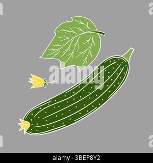 Niedliche Gemüseillustration in Handzeichnung. Gurke auf grauem Hintergrund. Weiße Umrandung. Design für Postkarten Stock Vektor