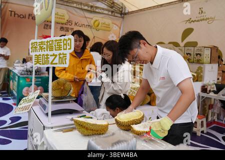 Die Bürger wählen Dura beim 15. Thai Festival in Kunming. Kunming, China. 29. Mai 2025. Das 15. Thai Festival in Kunming, südwestchinesischer Provinz Yunnan, beginnt am 29. Mai 2025. Die thailändischen Kulturveranstaltungen und die thailändische Messe zogen viele Bürger und Touristen an. Quelle: Liu Ranyang/China News Service/Alamy Live News Stockfoto