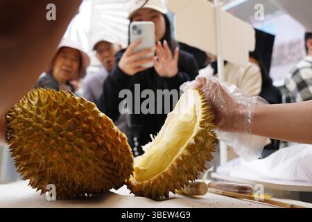 Die Bürger wählen Dura beim 15. Thai Festival in Kunming. Kunming, China. 29. Mai 2025. Das 15. Thai Festival in Kunming, südwestchinesischer Provinz Yunnan, beginnt am 29. Mai 2025. Die thailändischen Kulturveranstaltungen und die thailändische Messe zogen viele Bürger und Touristen an. Quelle: Liu Ranyang/China News Service/Alamy Live News Stockfoto