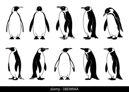 Pinguine in isolierten Paargruppen mit unterschiedlichen Standwinkeln im Silhouettenformat Stock Vektor