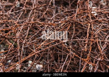Ein hochauflösendes Bild von rostigem, verwittertem Stacheldraht, der kompliziert verwickelt ist und seine robuste Textur und sein veraltetes Aussehen unterstreicht, was die Teilung symbolisiert. Stockfoto
