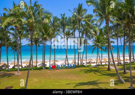 Tropischer Strand mit Palmen auf Bintan Island, Indonesien, Hintergrund für Sommerferien Stockfoto