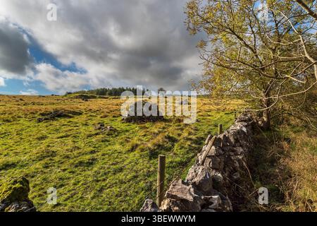Großer Felsbrocken aus Quarzgestein auf dem Feld neben Dirtlow Rake bei Pindale bei Castleton, mit einer Trockenwand im Vordergrund. Stockfoto