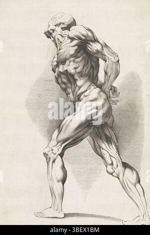 Rubens, Peter Paul, Antwerpen, Pontius, Paul, das Zeichenbuch von Peter Paul Rubens, Anatomische Studie eines stehenden Mannes, Druck, Höhe 318 mm, Breite 214 mm, Südholland, 1603 - 1658-01-16, Druckerei, 1616 - 1657, Papier, Gravur, Gravur (Druckprozess), Arbeitskonzept, 28. Juni 1577 - 30. Mai 1640 Stockfoto