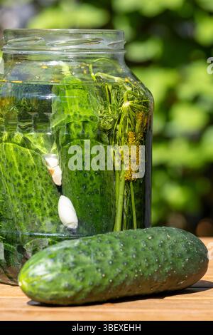 Essigglas Mit Gurken Und Dill Stockfoto