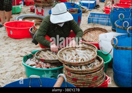Vietnamesische Verkäuferin verkauft Meereskrebstiere und Meeresfrüchte auf dem Tam Tien Fischmarkt am Strand auf See in Vietnam Stockfoto
