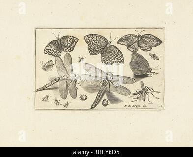 Amsterdam, Visscher, Claes Jansz. II) Bruyn, Nicolaes de, Volatilium varii generis, Schmetterlinge und Libellen, Amsterdam, gegenüber von Druck aus der Serie beschrieben von Orn Cat I-37.11, Druck, Ornamentdruck, Drucke, Ornamentdrucke, Höhe 82 mm, Breite 128 mm, Arbeitskonzept, Südholländisch, 1571 - 1656-10, nach Entwurf, 1581 - 1652, viertes Viertel 16. Jahrhundert, erstes Viertel 17. Jahrhundert, zweites Viertel 17. Jahrhundert, drittes Viertel 17. Jahrhundert, Papier, Gravur, Druckverfahren), Druckerei, Publikation (Veranstaltung), Nord-Niederlande, 1586 - 19.06.1652, Verlag Stockfoto