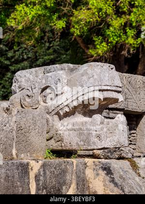 Die Tzompantli, Plattform der Schädel, Chichen Itza, Yucatan State, Mexiko Stockfoto