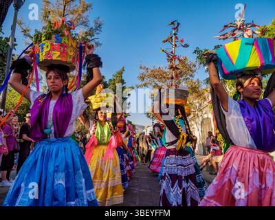 Karnevalsparade in der Mazedonio Alcala Street, Oaxaca de Juarez, Oaxaca State, Mexiko Stockfoto