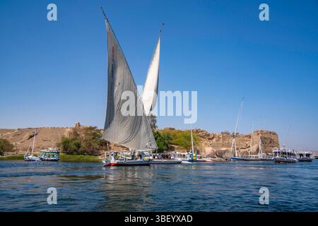 Blick auf Feluken auf dem Nil von einem kleinen Boot in Assuan, Assuan, Nubien, Ägypten, Nordafrika, Afrika Stockfoto