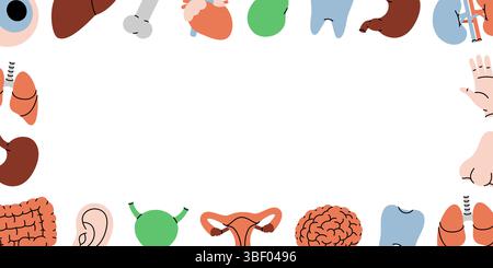 Horizontales Umrissbanner für menschliche Organe. Herz, Nieren, Gallenblase, Zahn, Gehirn, Lunge, Magen, Leber, Auge, Hand, Nase, Knochen, Ohr, Blase. Stock Vektor