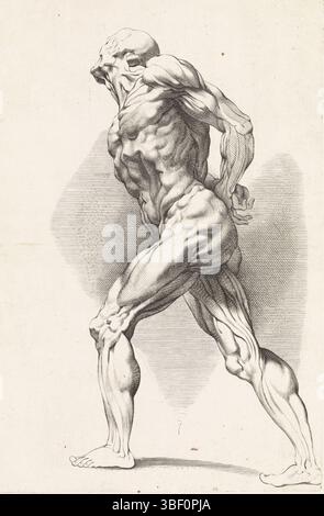 Rubens, Peter Paul, Antwerpen, Pontius, Paul, das Zeichenbuch von Peter Paul Rubens, anatomische Studie eines stehenden Mannes, Recto Under - handgeschrieben in brauner Tinte, Druck, rückwärts links unten - gestempelt, 12, Höhe 321 mm, Breite 214 mm, Südholländisch, 1603 - 1658-01-16, Druckerei, 1616 - 1657, Papier, Gravur, Gravur (Druckverfahren), Arbeitskonzept, Zuid-Nederlands, 28.06.1577, 30.05.1640 Stockfoto