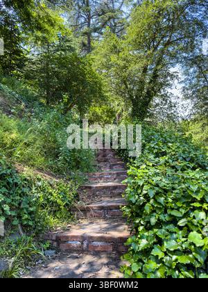 Alte Backsteintreppen führen durch üppige grüne Parkvegetation, natürliche Wege im Freien, Sommertageslicht, friedliche Gartenpfade. Stockfoto
