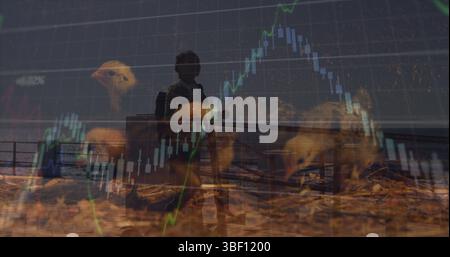 Bild von Datenverarbeitung und afroamerikanerin über Huhn Stockfoto