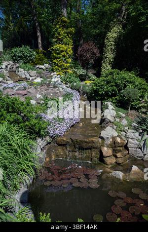 Licheń, Großpolen; Polster-Phlox; Phlox subulata; Gestein- und Pflanzenanordnung des Gartens um den Teich; Steingarten rund um den Teich Stockfoto