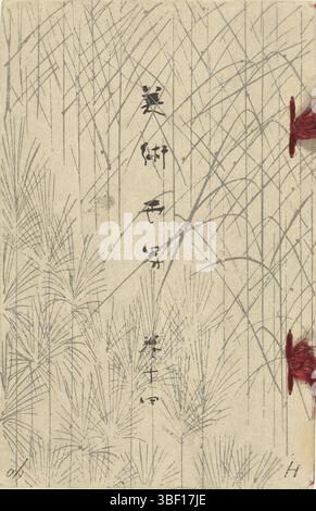 Tokio, Goto Tokujiro, Tokio, Wada Tokutaro, Seitei, Watanabe, Bunrei, Maekawa, Beisen, Kubota, Umschlagrückseite - gestempelt, weißer Umschlag mit silberfarbenem Grasmotiv und schwarzem Titel; Innenumschlag, orange mit Schmetterlingsmuster; 21 Seiten nummeriert: 1, Inhaltsverzeichnis; 1-20, Bilder von Personen, Tieren und Landschaften, und einzelne Seiten Text; Inneneinband, Kolophon, Buch, Drucke, Japan (Sammlung), World of Arts - 14, Bijutsu sekai - 14, Rijksschool voor kunstwerk, Höhe 249 mm, Breite 161 mm, Gyokuden, Murase, Japaner, 1852 - 1917, Druckermacher, 1891 - 1891, viertes Viertel 19. Jahrhundert, PAP Stockfoto