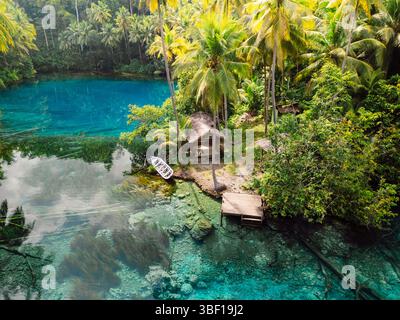Transparenter See mit klarem blauem Wasser und hölzerner Pavillon unter einer Palme in Indonesien. Luftaufnahme Stockfoto