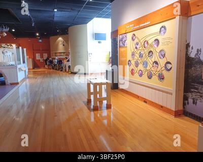 Toronto, ON, Kanada - 18. Dezember 2024: Die Naturhistorischen Sammlungen werden in einer Ausstellung im Royal Ontario Museum ausgestellt. Stockfoto