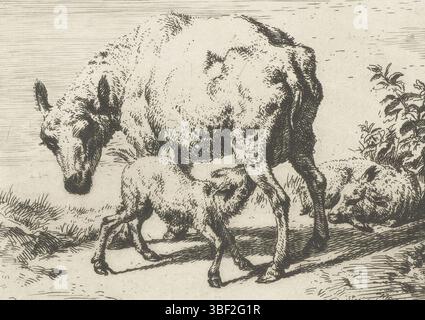 Delâtre, Auguste, Velde, Adriaen van de, Frankreich, Meryon, Charles, La Brébis et les deux Agneaux, Schaf oder Schaf mit zwei Lämmern, rückseitig Mitte - gestempelt, bedruckt, Höhe 78 mm, Breite 105 mm, Frans, 23.11.1821, 14.02.1868, Druckerei, 1850.1850, 3. Quartal 19. Jahrhundert, Papier, Ätzen, Werkkonzeption, Noord-Nederlands, 30.11.1636, 21.01.1672, Nachdruck, Französisch, 1822.1907 07.26, Drucker Stockfoto