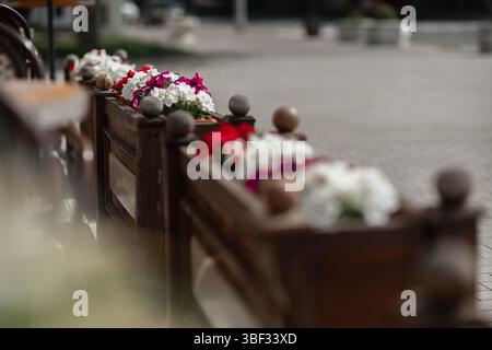 Blumen Pflanzgefäß Outdoor: Petunien wachsen tagsüber in Box auf der städtischen Straße zur Dekoration. Stockfoto