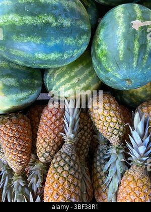 Farbenfroher Obstmarkt in Santarém, Brasilien, mit Reifen Wassermelonen und Ananas Stockfoto
